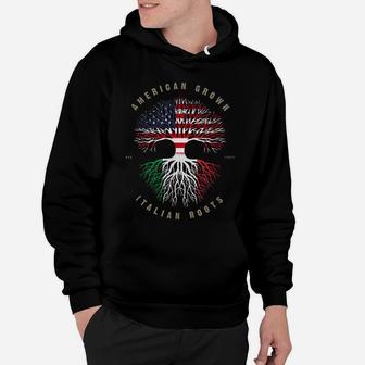 American Grown Italian Roots Italy Flag Hoodie | Crazezy