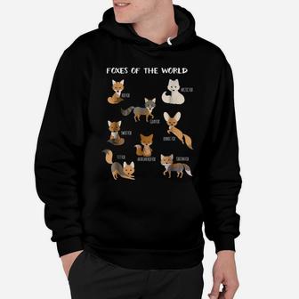 Foxes Of The World Funny Fox Animals Educational T Shirt Hoodie | Crazezy AU