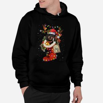 Funny Dachshund Dog In Christmas Sock Santa Hat Xmas Dog Hoodie | Crazezy
