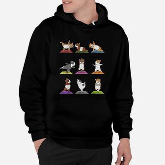 Guinea Pig Funny Guinea Pigs In Yoga Poses Hoodie | Crazezy UK