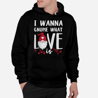 I Wanna Gnome What Love Is Funny Valentines Day Saying Quote Hoodie | Crazezy