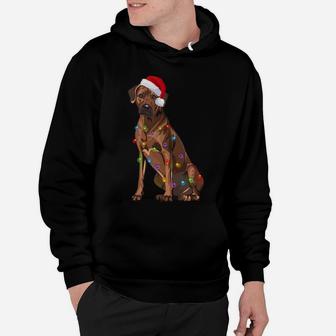 Rhodesian Ridgeback Christmas Lights Xmas Dog Lover Sweatshirt Hoodie | Crazezy UK