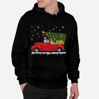 Siamese Cat Red Car Truck Christmas Tree Santa Xmas Cat Hoodie | Crazezy AU