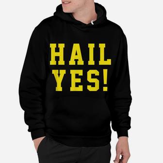State Of Michigan Hail Yes Shirt U M Ann Arbor MI AA Hoodie | Crazezy UK