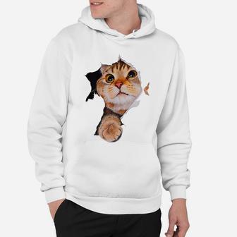 Sweet Kitten Torn Cloth - Funny Cats Lover Cats Owner Hoodie | Crazezy AU