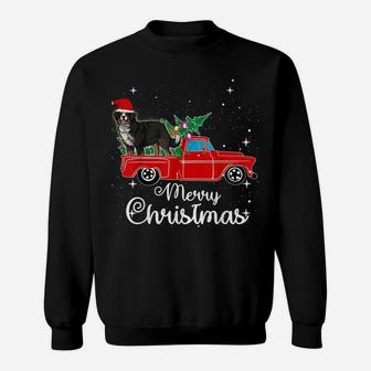 Bernese Mountain Dog Rides Red Truck Christmas Pajama Shirt Sweatshirt | Crazezy