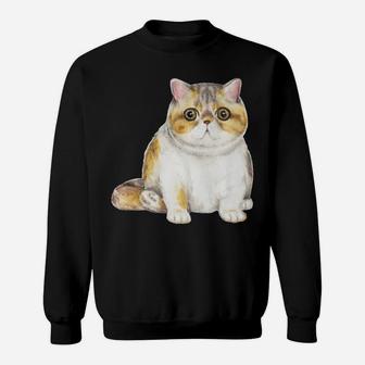 Exotic Shorthair Mom Cute Cat Mother Kitten Girl Gift Sweatshirt | Crazezy DE