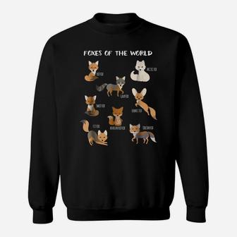 Foxes Of The World Funny Fox Animals Educational T Shirt Sweatshirt | Crazezy UK