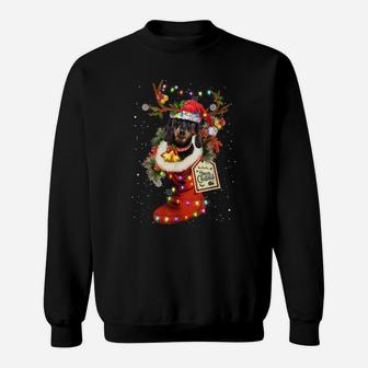 Funny Dachshund Dog In Christmas Sock Santa Hat Xmas Dog Sweatshirt | Crazezy