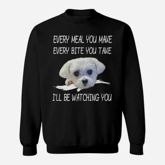Funny Maltese Dog Watching Owner Quote Puppy Mom Dad Gift Sweatshirt | Crazezy
