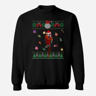 Funny Ugly Sweater Christmas Animals Santa Parrot Lover Sweatshirt | Crazezy UK