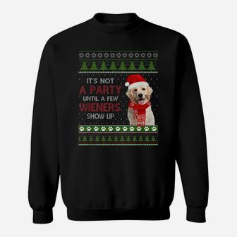 Merry Weiner Christmas Dog Xmas Sweatshirt | Crazezy