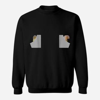 Pineapple Conure Shirt, Cute Pocket Conure Parrot Bird Sweatshirt | Crazezy AU