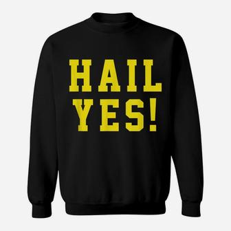 State Of Michigan Hail Yes Shirt U M Ann Arbor MI AA Sweatshirt | Crazezy UK
