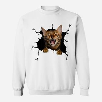Bengal Cats Torn Cloth , Kitten Sweatshirt | Crazezy UK