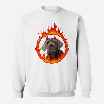 Devil Dog Neopolitan Mastiff Sweatshirt | Crazezy