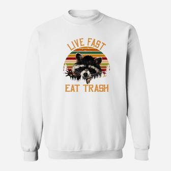 Live Fast Eat Trash Bear Vintage Camping 2 Sweatshirt | Crazezy