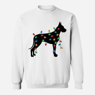 Merry Christmas Holiday Lights Great Dane Dog Gift T-Shirt Sweatshirt | Crazezy