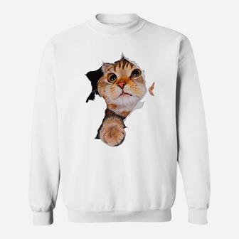 Sweet Kitten Torn Cloth - Funny Cats Lover Cats Owner Sweatshirt | Crazezy DE