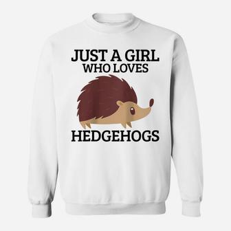 Womens Just A Girl Who Loves Hedgehogs Hedgehog Mom Funny Cute Gift Raglan Baseball Tee Sweatshirt | Crazezy DE