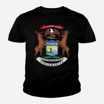 Blue Vintage Michigan Flag Sweatshirt Retro State Hoodie Usa Youth T-shirt | Crazezy