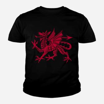 Wales Cymru Red Dragon Welsh Flag Sweatshirt Youth T-shirt | Crazezy