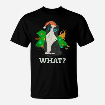 Cat What Black Cat With Christmas Tree T-Shirt | Crazezy UK