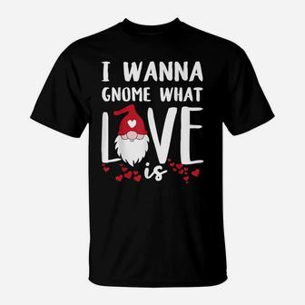 I Wanna Gnome What Love Is Funny Valentines Day Saying Quote T-Shirt | Crazezy