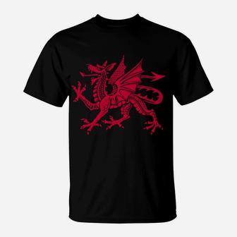 Wales Cymru Red Dragon Welsh Flag Sweatshirt T-Shirt | Crazezy