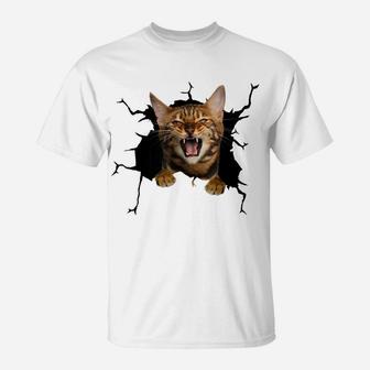 Bengal Cats Torn Cloth , Kitten T-Shirt | Crazezy