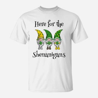 St Patricks Day Here For The Shenanigans Gnome Shamrock Gift Raglan Baseball Tee T-Shirt | Crazezy