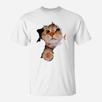 Sweet Kitten Torn Cloth - Funny Cats Lover Cats Owner T-Shirt | Crazezy