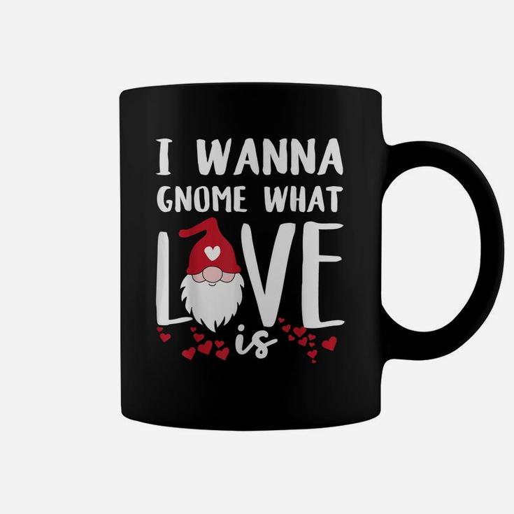 I Wanna Gnome What Love Is Funny Valentines Day Saying Quote Coffee Mug