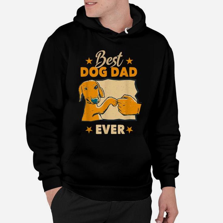 Dogs And Dog Dad - Best Friends Gift Father Men Hoodie