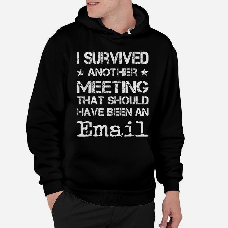 I Survived Another Meeting That Should've Been An Email Hoodie