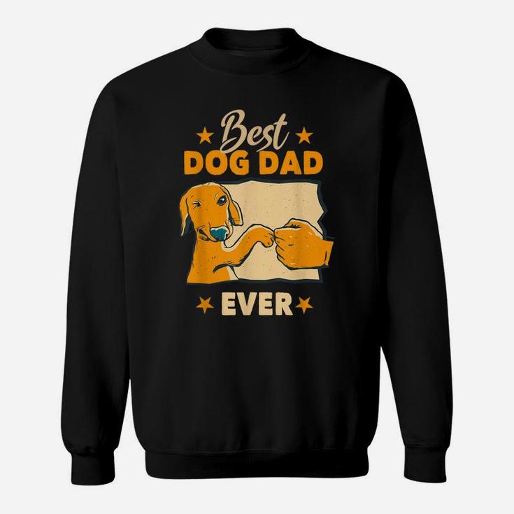 Dogs And Dog Dad - Best Friends Gift Father Men Sweatshirt