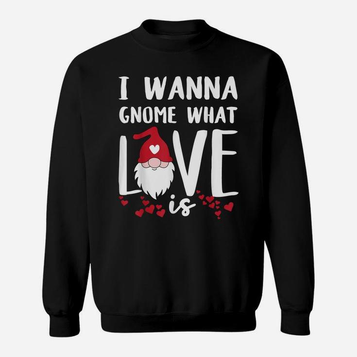I Wanna Gnome What Love Is Funny Valentines Day Saying Quote Sweatshirt