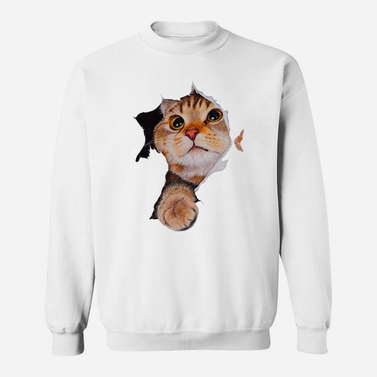 Sweet Kitten Torn Cloth - Funny Cats Lover Cats Owner Sweatshirt