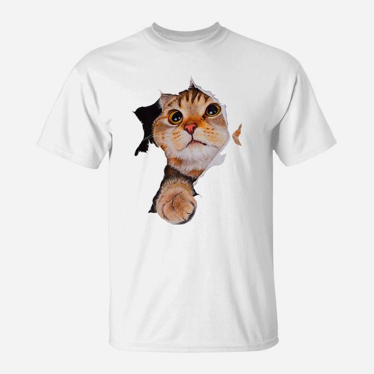 Sweet Kitten Torn Cloth - Funny Cats Lover Cats Owner T-Shirt